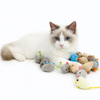 Eurilo™ Crazy Mouse – Catnip Filled Rattle Plush Toy for Cats