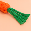 Eurilo™ CarrotBite – Cotton Rope Chew Toy for Dogs