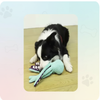 Eurilo™ OctoShell Puzzle – Plush Interactive Sound Toy for Pets